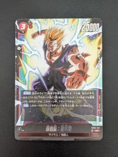 m70786388417_1.jpg?1772335869