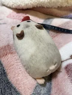 Item thumbnail for item 0020a3c0-eb1b-45e9-9a6e-6559e6e2c413