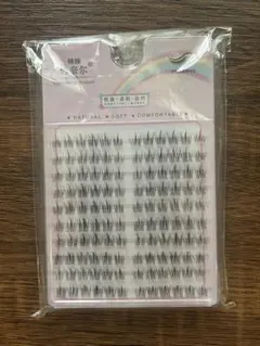 臻臻 诗奈尔 つけまつげ 部分用 ナチュラルのサムネイル