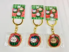 熊本限定　スイカ　ダイカットキーホルダー　ハチワレ 3個セット