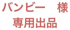 バンビー様　専用出品
