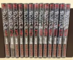 ガンニバル 全13巻 完結セット 二宮正明 全巻 漫画 - メルカリ