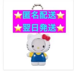 ⭐️匿名配送⭐️サンリオキャラクターズ　フォトフレームマスコット　ハローキティ