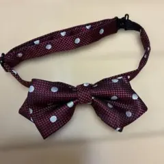 COMME CA ISM キッズ 蝶ネクタイ ドット柄