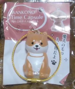 わんこのタイムカプセル　WANKONO Time Capsule 柴犬　まめ