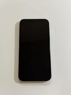 Apple iPhone 12 Pro パシフィックブルー 256GB