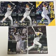 阪神タイガース　中野拓夢　大山悠輔　プロ野球チップスカード　まとめ売り