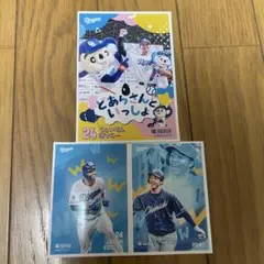 中日ドラゴンズ 竜ブロマイド 岡林勇希&ボスラー2枚セット販売