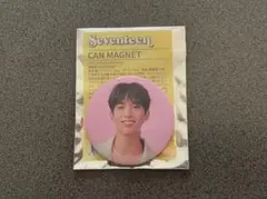 SEVENTEEN ドギョム マグネット Hanabi