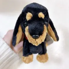 2026年最新】ダックスフンド ぬいぐるみ 黒の人気アイテム - メルカリ