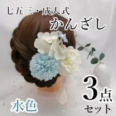 Item thumbnail for item 72f928ce-1f09-46d6-9570-68309063abc1