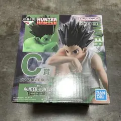 一番くじ　HUNTER×HUNTER C賞　ゴン