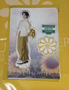 FANTASTICS SUNFLOWER 木村慧人 アクリルスタンド - メルカリ