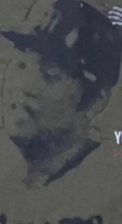 BBM 2000 センチュリーベストナイン 256 江夏豊