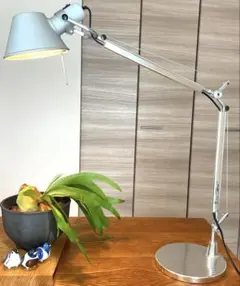 アルテミデ ヤマギワ トロメオ ミニ　mini yamagiwaー1