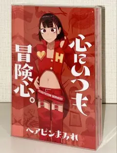 ヘアピンまみれサイン本「心にいつも冒険心。」アクリルブロック、描き 