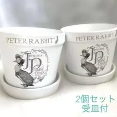 ピーターラビット　植木鉢　受皿付　2個　ガーデン雑貨