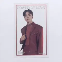 SEVENTEEN セブチ poweroflove バーノン クリアトレカ