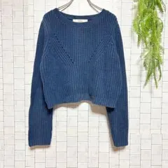 リリーブラウン【F】長袖ニットセーター クロップド丈 短丈 ネイビー フェミニン