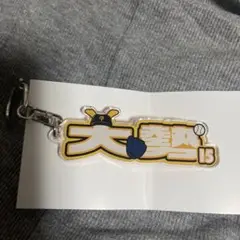 大勢 ジャイアンツ アクリルネームキーホルダー 橙魂