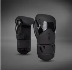 【最安値】VENUM Challenger 4.0 ボクシンググローブ 10ozのサムネイル