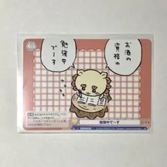 ちいかわ　WSB　シーサー