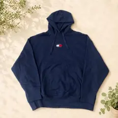 【極美品】トミージーンズ バッジロゴ パーカー ネイビー [Ｌ]