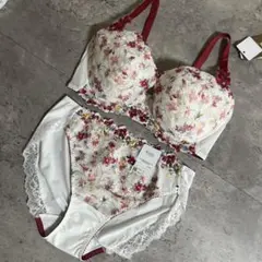 新品　ワコール　ウイングレシアージュ　ブラジャーショーツセット　F80 L