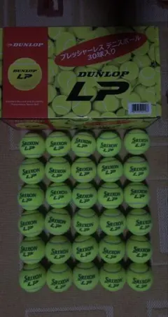 Item thumbnail for item 5a15e488-6078-4e78-957d-5e63cfadc284