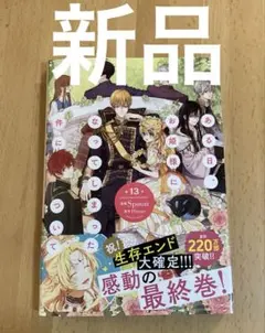 ある日、お姫様になってしまった件について 13