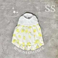 ꫛꫀꪝ✧‧˚MIMOSA ONEPIECE♡ SS