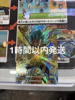 SDVP-025 ベジータ