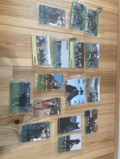 Item thumbnail for item 52d3a37b-4c3d-424b-af61-54ac824945eb