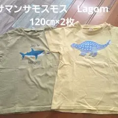 サマンサモスモス　Lagom Tシャツ 120cm 2枚セット