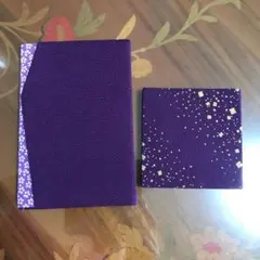 Item thumbnail for item 40e53247-fa35-44fd-9b06-8e6a9df0201d