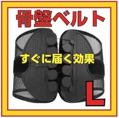 腰痛　骨盤コルセット　L 男女兼用 骨盤矯正 猫背 姿勢矯正　ガードナーベルト