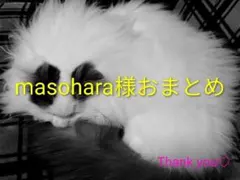 masohara様 リクエスト 3点 まとめ商品