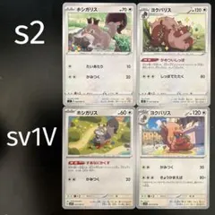 ホシガリス ヨクバリス 4枚セット 進化ライン すあなにかくす きょうかまえば