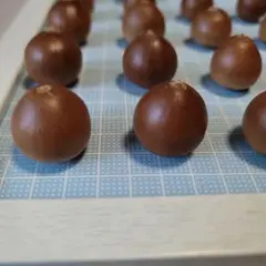 流木 工作素材