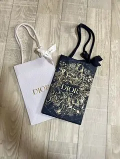 Dior ショッピングバッグ 2点セット