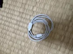 Apple 순정 라이트닝 - C 케이블