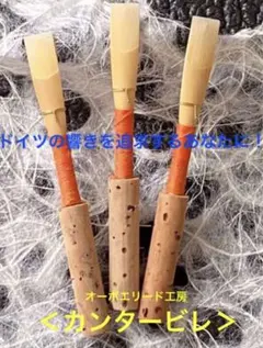 Item thumbnail for item 96f01cab-03d7-454a-9cdc-489474ca56f9