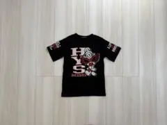 ヒスミニのサムネイル