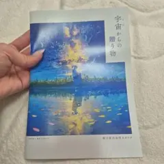 藤城清治の世界展 光と影のファンタジー 図録 - メルカリ