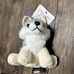 2025年最新】もふっとオオカミの人気アイテム - メルカリ
