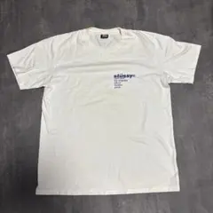 マ*ナ様 stüssy ステューシー　ストロベリーTシャツ
