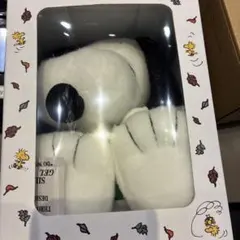 PEANUTS × STARBUCKS 26 パンプキン ピーナッツ スタバ