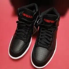 今だけ値下 ナイキ NIKE JORDAN ACCESS 26.0cm