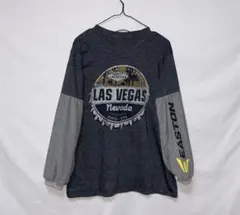 Item thumbnail for item 72c6fa08-5315-4090-9d69-0c600a8cd076