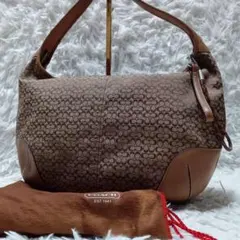 袋付COACH hobo signature shoulder bag y2k